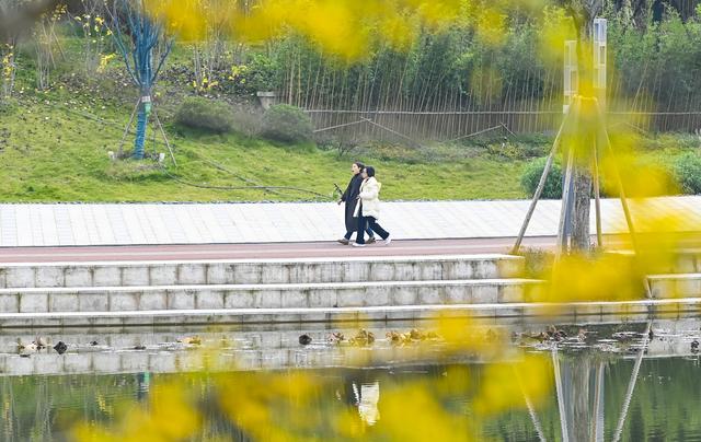 图片新闻｜两江新区：特色景点耍事多 花石公园迎开放