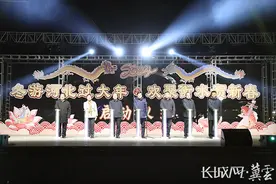 新春到 花灯俏 “龙腾盛世庆新春”宝云灯会庙会在衡水市桃城区宝云公园开幕图片
