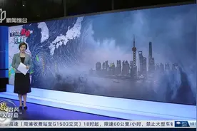 受台风影响 今晚8点起两大机场所有航班取消