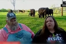 美国农场主：关税政策可能发生180度变化 令人无所适从图片