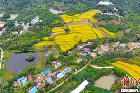 安徽将实施九大工程助力农业强省建设图片