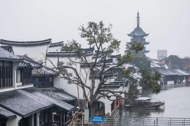 定格浪漫！吴江初雪美景图鉴！