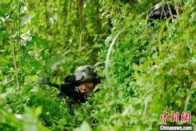 密林出击！直击武警特战队员山林捕歼战斗演练图片