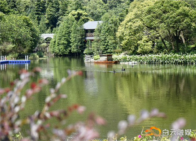 白云的颁证点，靓到想结婚超浪漫，包出片（文末福利）