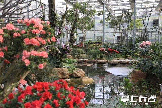 四大主题场馆可饱览全球生态 省植物园“天际苑”10日焕新开放