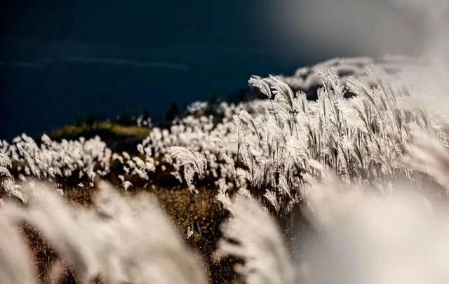 热门消息-济南的秋天，是懂“配色”的！(10)