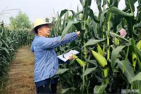 深耕沃野铸华章，科技赋能兴三农 ——记“渤海英才・十佳滨州专业技术带头人” 卢振宇图片