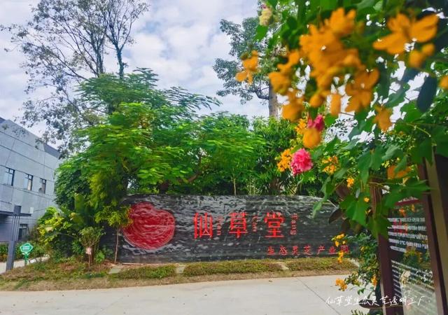 赴广西龙超之约，融安吃住行无忧攻略已为你备好！