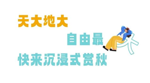 你的周末含“秋”量是多少？来秦岭测测！