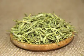 瑞龙中药大讲堂｜河南道地药材金银花图片