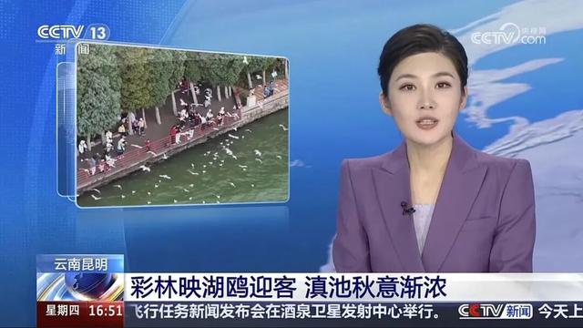 跟着央视三大频道一起赏昆明“限定款”秋色