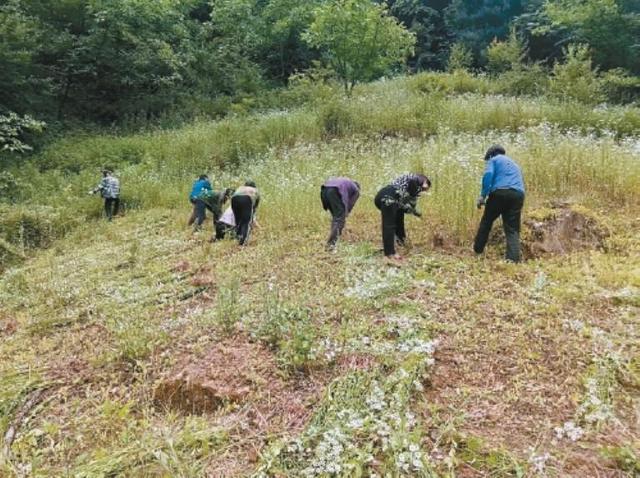 蓝田县葛牌镇——秦岭深处的红色热土