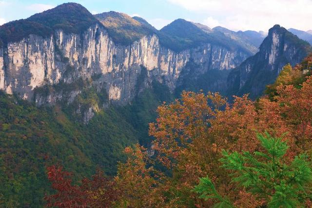 鹤峰八角岩的晚秋：绝壁丹霞染秋色 层林尽染绘诗意