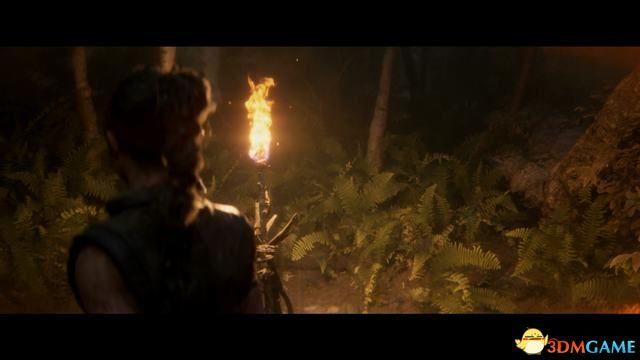 《地狱之刃2：塞娜的献祭》全剧情流程攻略 全收集全章节解密