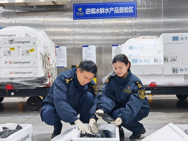 青年突击队奋战鄂州花湖国际机场纪实