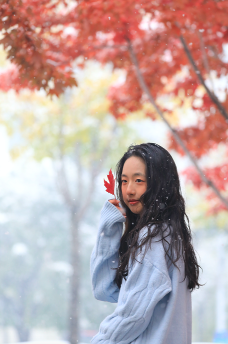 “白雪滤镜”加持，哈尔滨美成童话！熊猫撒欢、雪映枫叶，一起看雪趣大片——