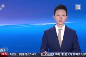 中国香港羽毛球公开赛 中国队包揽五项冠军