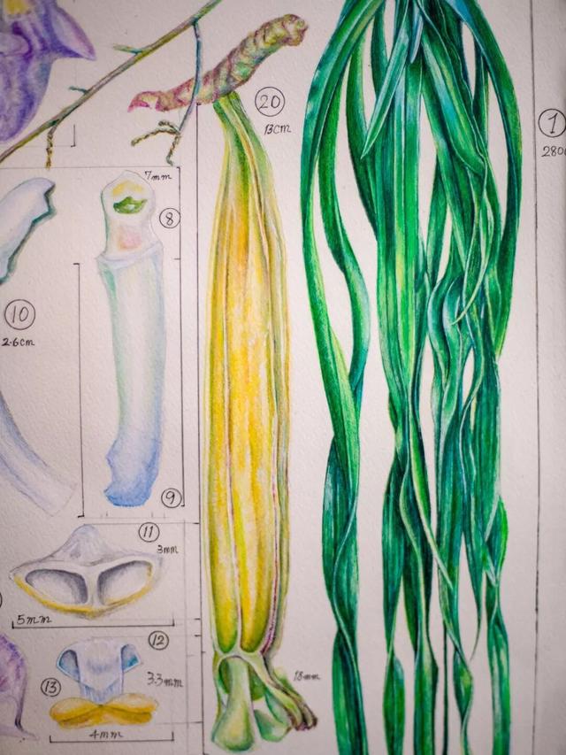他初中毕业后终身不婚，荒野舍命工作20年，被一群博士封神