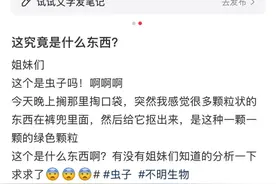 头皮发麻，女子被吓到尖叫！多地已大量出现，紧急提醒图片