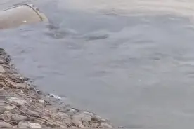 兰州通报“污水排入黄河”调查情况图片