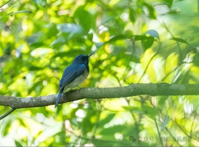 欢迎来到疯狂动物城·罗湖分城