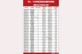 “国家队”大举增持！完整重仓名单曝光图片