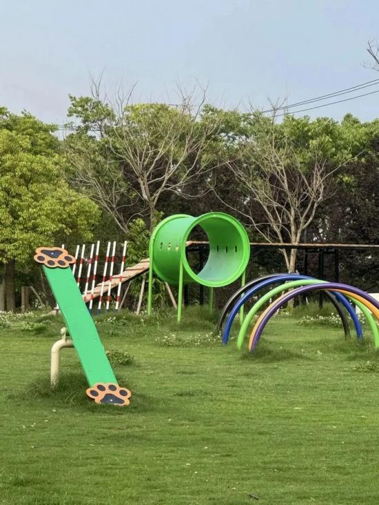 新一批宠物友好公园上线 上海踏秋遛宠增好去处