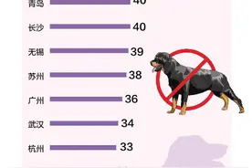 除成都、深圳外 13城市禁养罗威纳犬图片