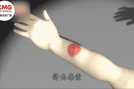 户外遭遇蜂群袭击怎么办？这份自救指南请收好图片