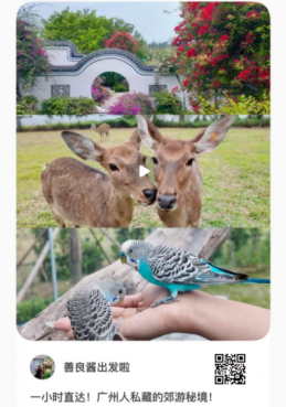 藏不住了！广州花都浪漫花海，被小红书达人发现了~