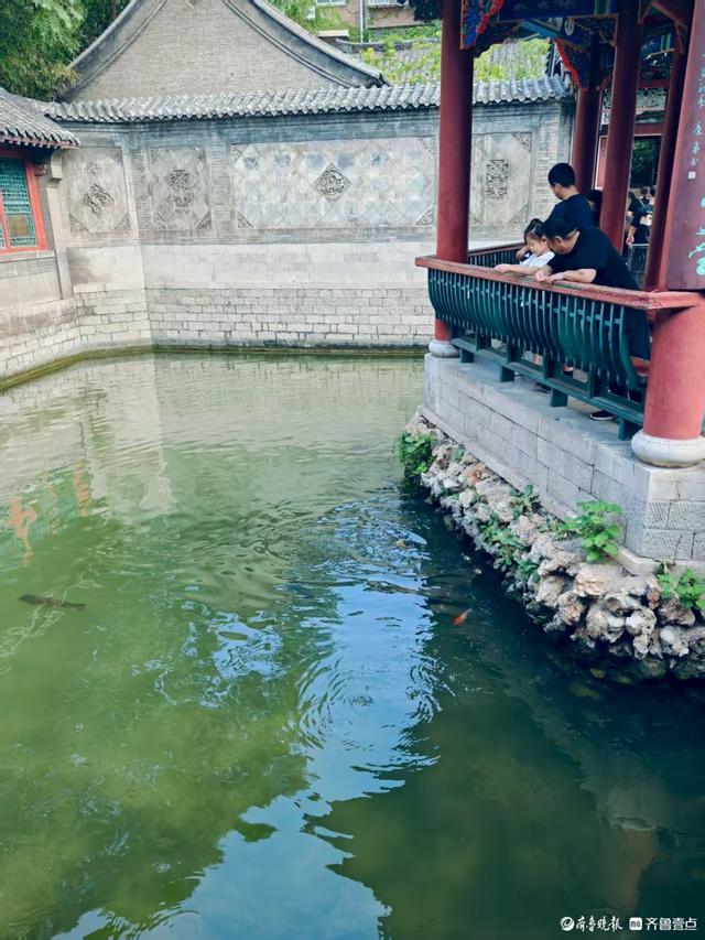 炎热的夏天，趵突泉给您带来一丝凉意