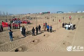 绿洲时评丨人勤春来早 共植添新绿图片