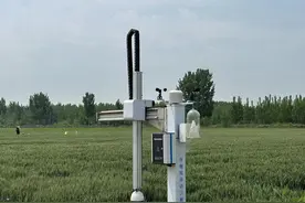 以现代农业促增收，以“和美”促振兴！济南高新区遥墙街道乡村振兴全面起势图片