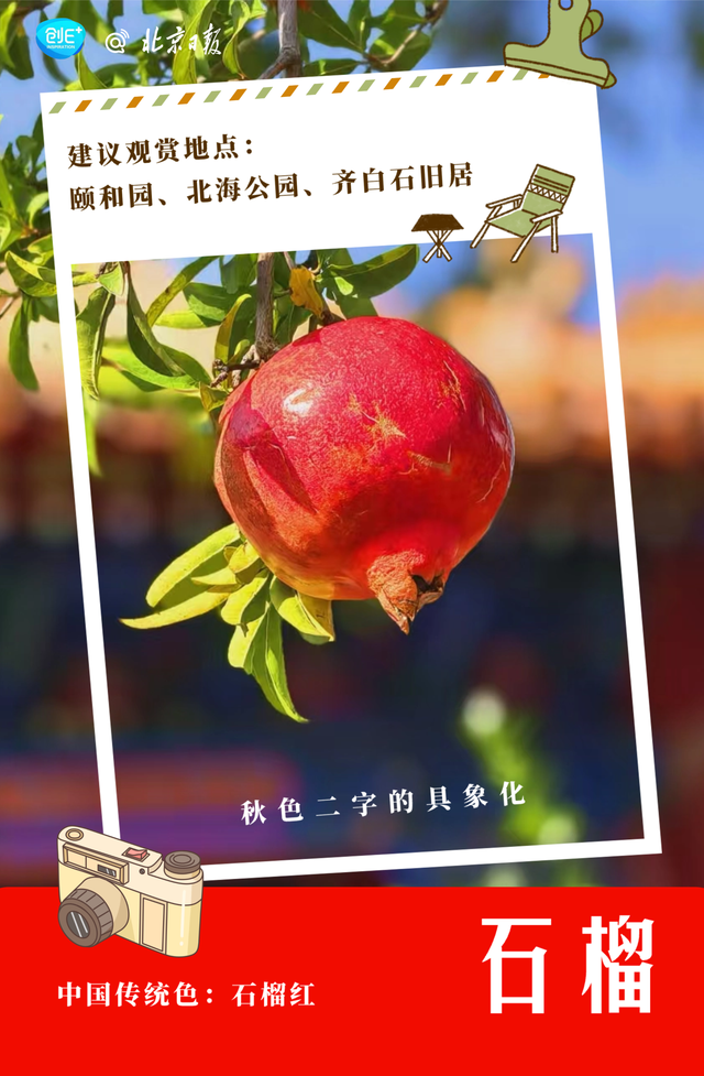 不只有红叶，北京的秋色能有多惊艳