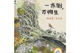 植物界的“鲸落”：当树的生命结束之后图片