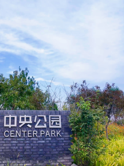 邂逅初冬，大兴6条宝藏慢跑路线请收好