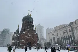 组图直击|大暴雪！黑龙江哈尔滨鹤岗等多地降雪猛烈图片