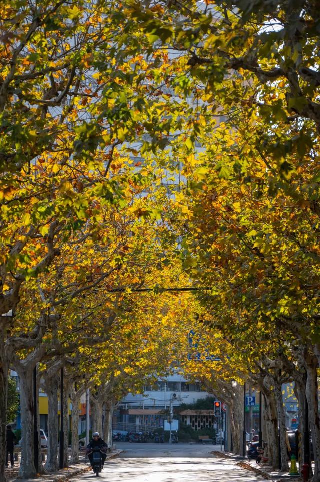 还有一周，快去打卡