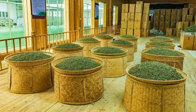 福鼎3个文旅新场景带你体验“闽式生活”！