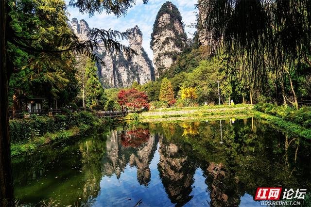 【每日一图@湖南】秋冬自驾必冲！张家界黄石寨暖阳峰林美到出圈