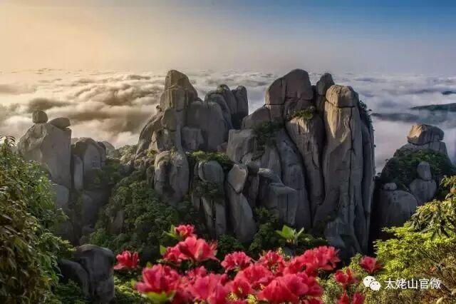 别辜负春天！4月宁德1景区进入颜值巅峰！快来赏花~