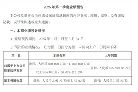 V观财报｜比亚迪首季净利同比最高预增118.88%，销量过百万图片