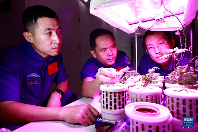 心怀凌云壮志 逐梦星辰大海——记神舟二十一号航天员乘组