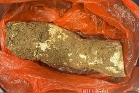 广东河源祖孙四人误食毒蘑菇后中毒，家属：出现肝肾衰竭，仍在住院治疗图片