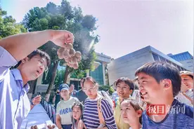 揭秘猕猴桃的“前世今生”，武汉植物园邀市民畅享舌尖上的甜蜜图片