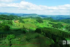 近10年，贵阳贵安夏季平均气温为22.9℃，几乎没有高温天气出现图片