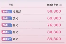 吉利几何E萤火虫301km龙腾版正式上市图片