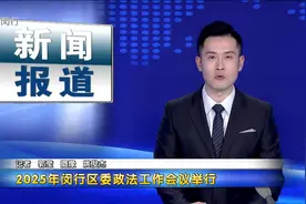 2025年闵行区委政法工作会议举行视频封面