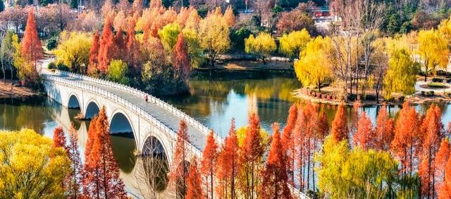 四季流转 多彩枣庄 | 枣庄：龙潭公园色彩斑斓