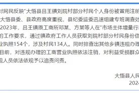 村民个人身份被冒用注册工商营业执照 湖北大悟县：严肃查处图片
